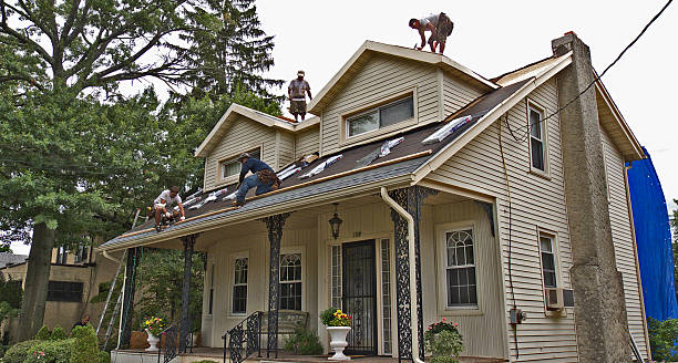 Best Roof Maintenance Services  in Aurora, MO